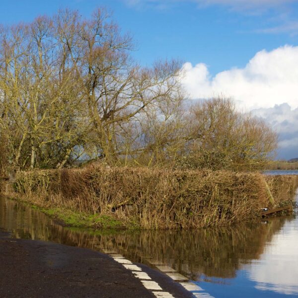 Swiftwater Flood